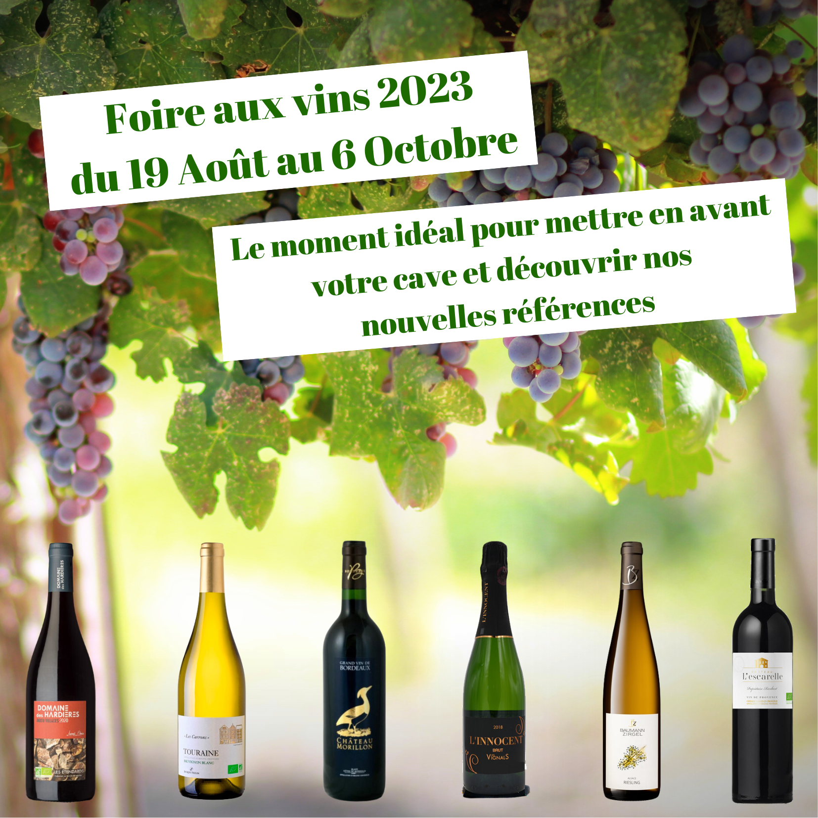 Foire aux vins